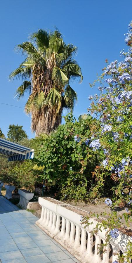 La Marina Gardens Beach Scauri  Exterior foto